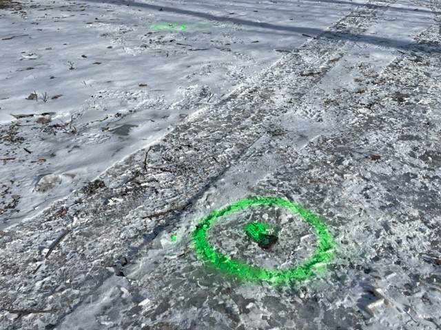 Markering på marken. Grön cirkel med grön prick i mitten.
