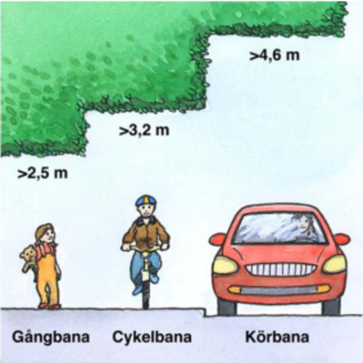Gångbana ska häcken vara klippt minst 2,5 meter, vid cykelbana minst 3,2 meter samt körbana minst 4,6 meter